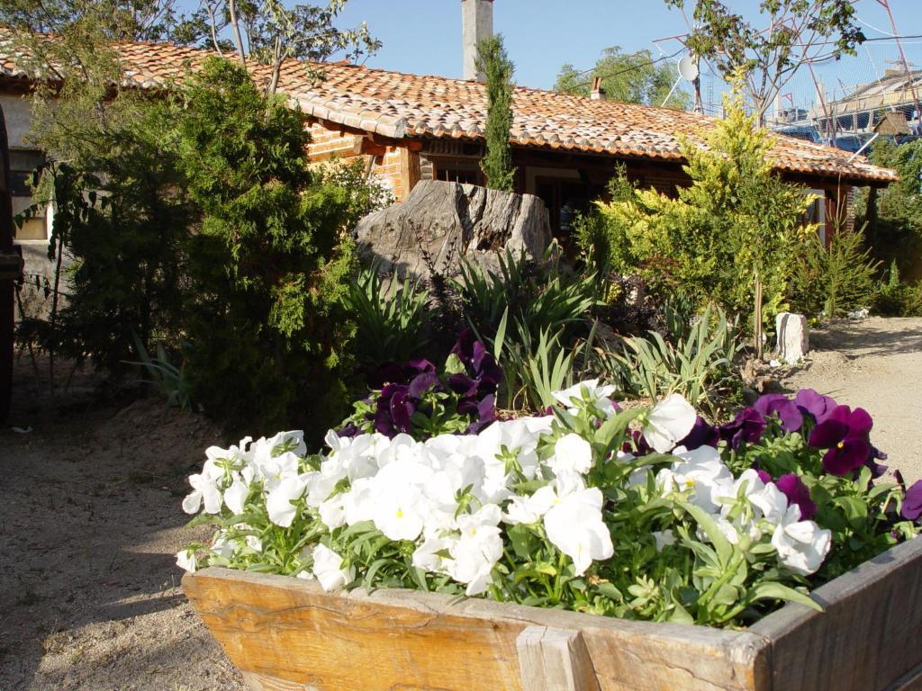 Hospedium Hacienda Las Cavas Olmedo Luaran gambar